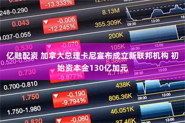 亿融配资 加拿大总理卡尼宣布成立新联邦机构 初始资本金130亿加元