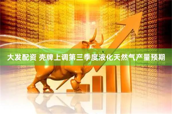 大发配资 壳牌上调第三季度液化天然气产量预期